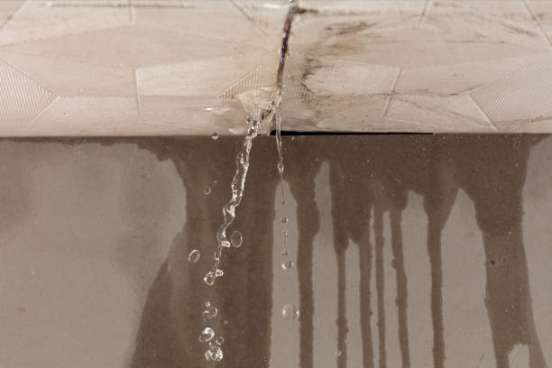 Professional Structural Drying technician working in Davis Junction, IL